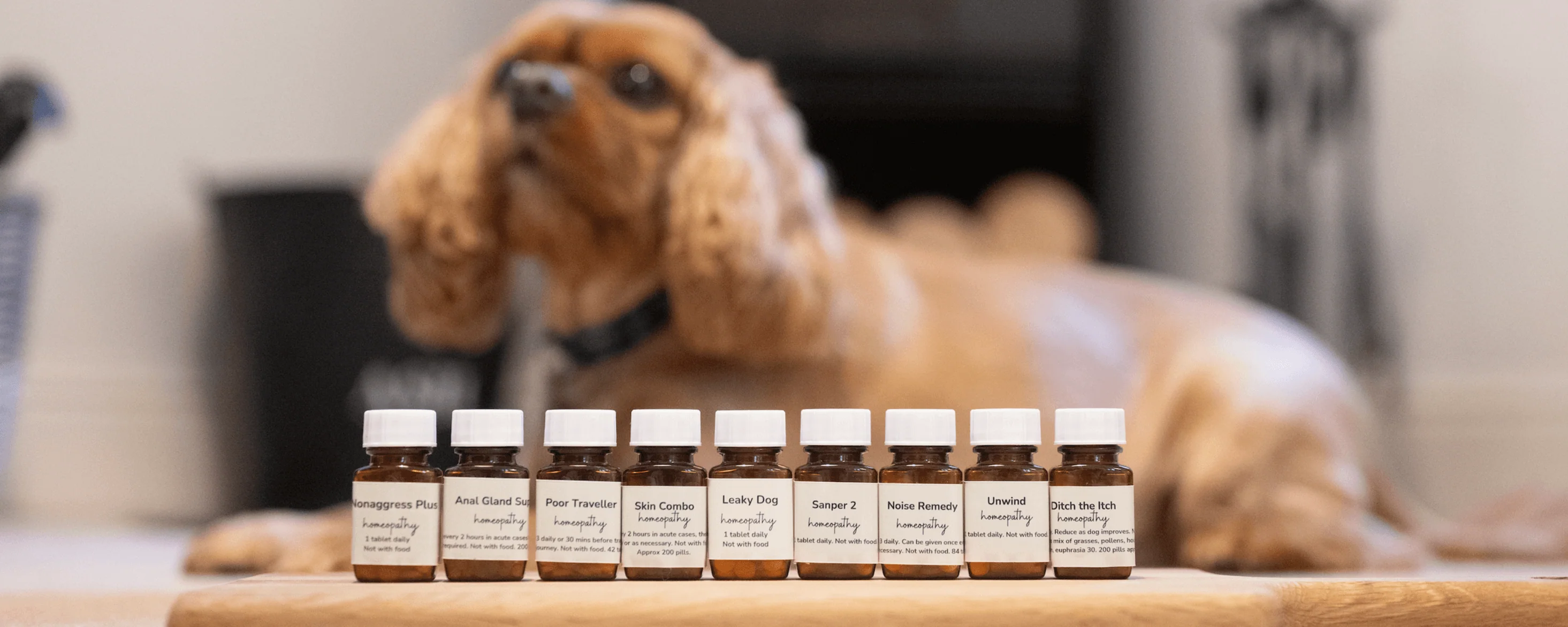 Holistic Health for Happy Hounds